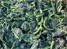 2012 new season Frozen  Chopped   Spinach   Leaves 