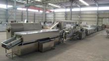 vegetable or fruit processing line for quick freezing