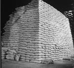  White   Refined   Cane   Sugar  Icumsa 45 Grade A.