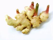  Ginger   Extract   ginger ols