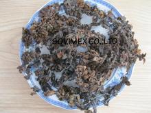 Sargassum