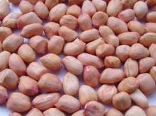 pea nut