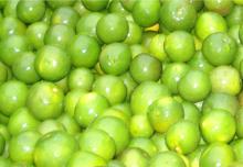 fresh lemon, lemon, lemon for life, lemons