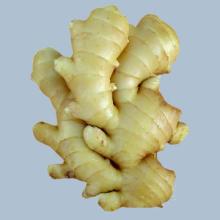 fresh ginger