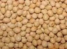 Phosphatidyl Serine PS