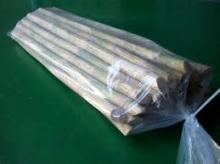  Fresh   Sugar   Cane s