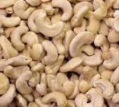 cashew nut