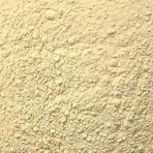 garlic powder