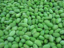 IQF Soybean Kernel