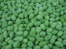 Frozen Soybean Meal