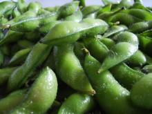  IQF   Edamame (Frozen)