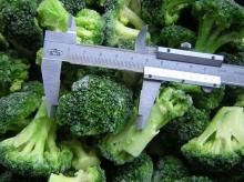 (IQF)Frozen Broccoli