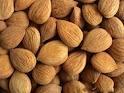High quality bitter apricot kernel for foodstuff
