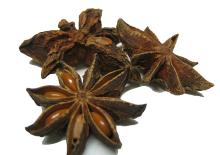 Star Aniseed