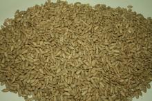 Sunflower kernel bakery