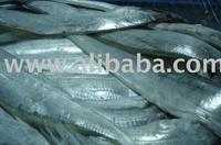 FROZEN RIBBON FISH FOR SALE affordable