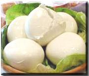Mozzarella Cheese Premix