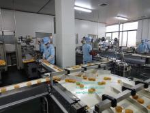 Cake production line
