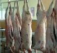 Frozen Halal Horse Meat