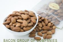 Almond and  Apricot   Kernels  for immediate exports