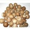 Betel  nuts ,  Cashew   nuts  for exports