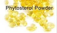Phytosterol Powder