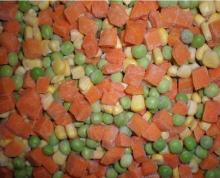 IQF diced Carrots