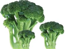 2012 new corp IQF broccoli florets