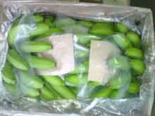 Class A Cavendish Banana