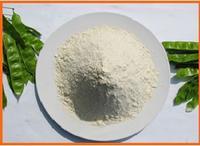 soy protein isolate