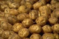 irish potatoe
