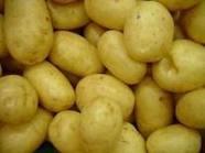 fresh  irish   potato e