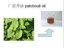 Natural Plant extract Patchouli Oil