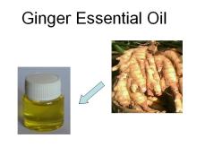 Ginger Essential Oil plant extract by CO2