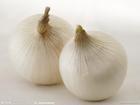 Deodonzation garlic powder