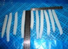 frozen squid stripe steak
