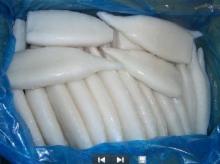 squid tube todarodes pacificus