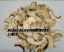 mushroom slice