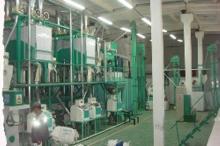steel structure flour mill machinery,maize flour mill