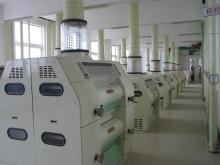 flour mill machine,maize flour equipment
