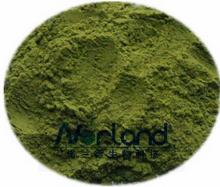 Wheat Grass Powder Organic