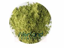 Barley Grass Juice Powder-Organic