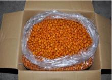iqf seabuckthorn