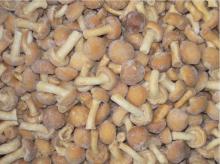 supply iqf nameko