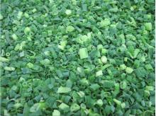 supply  iqf   spring  onion