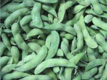supply iqf edamame