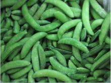 supply  iqf   snap   pea 