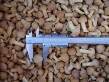 IQF Frozen nameko(3)