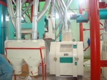 maize flour processing line