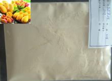 Freeze Dried  Mango   Powder 